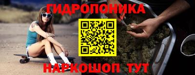 дмт Будённовск