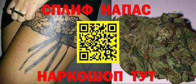 дмт Будённовск